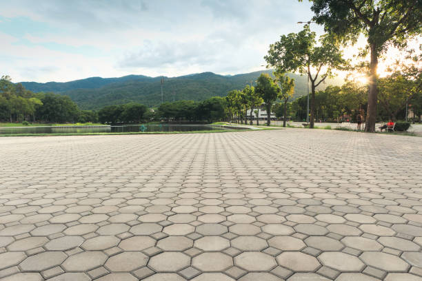 Professional Driveway Pavers in Contra Costa Centre, CA