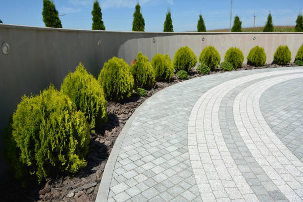 Best Custom Driveway Pavers  in Contra Costa Centre, CA